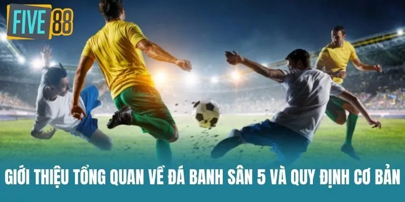 Giới thiệu tổng quan về Đá Banh Sân 5 và quy định cơ bản