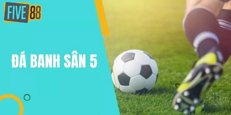 Luật Đá Banh Sân 5 Người Đầy Đủ Và Chính Xác Nhất
