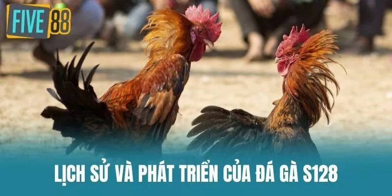 Lịch Sử Và Phát Triển Của Đá Gà S128