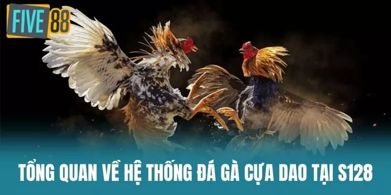 Tổng Quan Về Hệ Thống Đá Gà Cựa Dao Tại S128