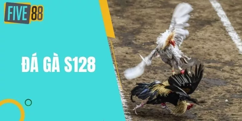 Đá Gà S128 - Nhà Cái Đá Gà Cựa Dao Philippines