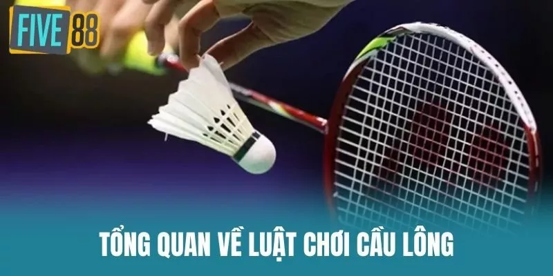 Tổng Quan Về Luật Chơi Cầu Lông