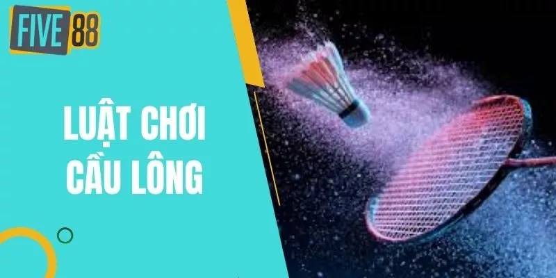 Luật Chơi Cầu Lông Đơn Và Đôi Cho Người Mới Bạn Cần Biết