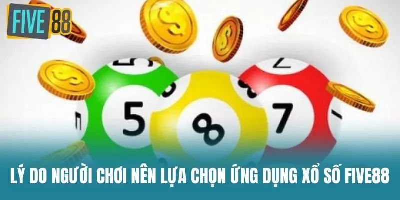 Lý do người chơi nên lựa chọn ứng dụng Xổ Số Five88