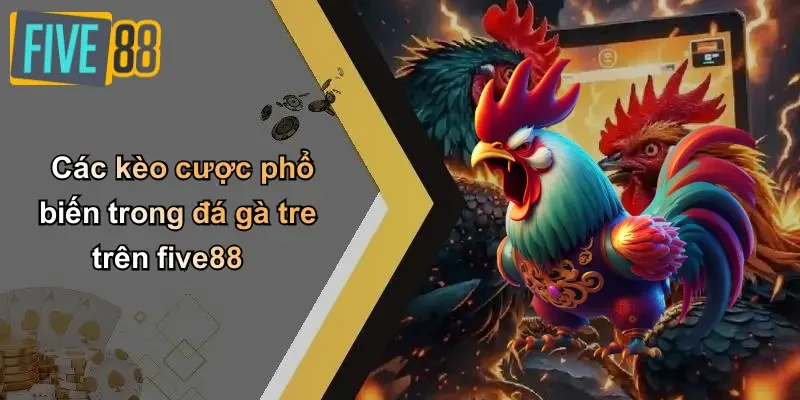 Các kèo cược phổ biến trong đá gà tre trên five88