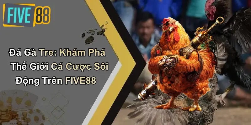 Đá Gà Tre: Khám Phá Thế Giới Cá Cược Sôi Động Trên FIVE88