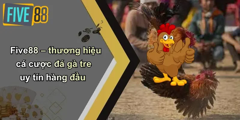 Five88 – thương hiệu cá cược đá gà tre uy tín hàng đầu