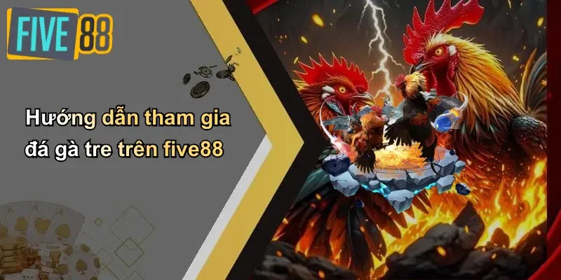 Hướng dẫn tham gia đá gà tre trên five88