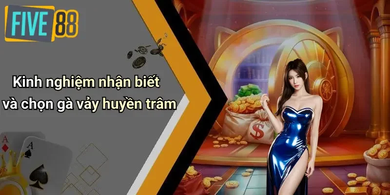 Kinh nghiệm nhận biết và chọn gà vảy huyền trâm