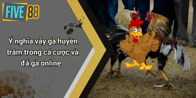 Ý nghĩa vảy gà huyền trâm trong cá cược và đá gà online